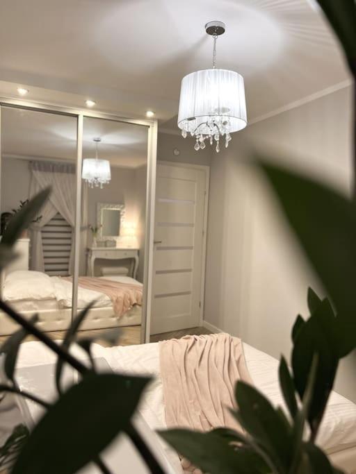 Apartament Zamojski Mlynska Zamość Exteriér fotografie