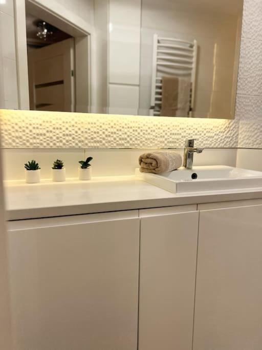 Apartament Zamojski Mlynska Zamość Exteriér fotografie