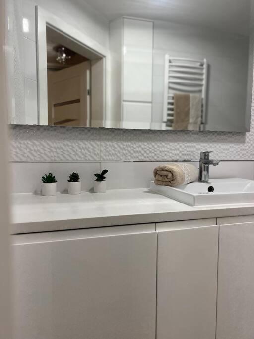 Apartament Zamojski Mlynska Zamość Exteriér fotografie