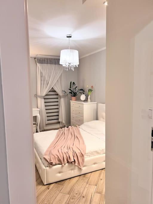 Apartament Zamojski Mlynska Zamość Exteriér fotografie